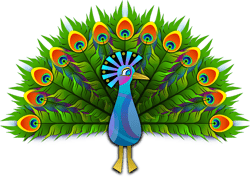 peacock-154128_640.png