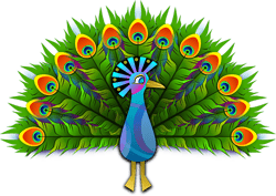peacock-154128_640.png