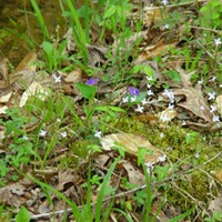 Journal to a New You-featured