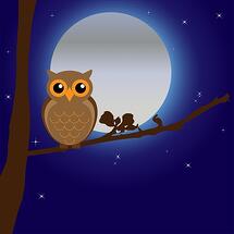 owl-163574_640