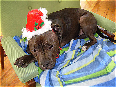 Wednesday Journaling Writes: Journal to Cure Holiday Hangover-featured