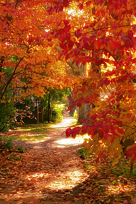 Journaling: October Dreams of New Transformations!-featured