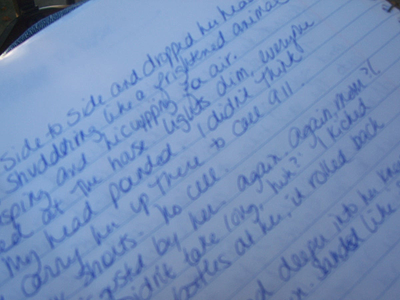 Journal as a Springboard to Creativity-featured