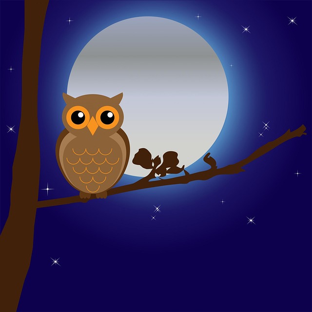 owl-163574_640