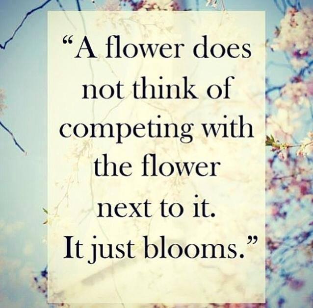 Journal Prompts #286 - That Bloomin' Place-featured