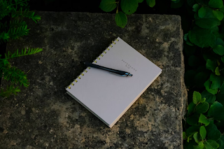 Why It Feels Good to Go Green: 5 Steps for an Eco-Conscious Mindset-featured