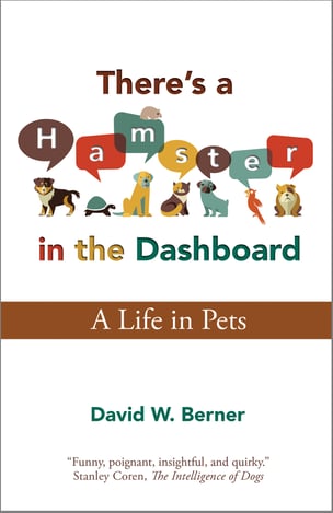 Theres_a_Hamster_in_the_Dashboard_outlined_2554_x_1654_RGB