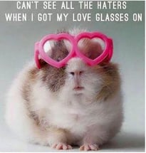 Newsletter_-_glasses