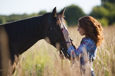 Therapy Horses .jpg