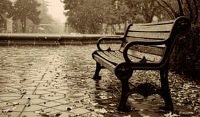on_a_snowy_evening_560701.jpg