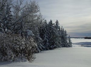 winter